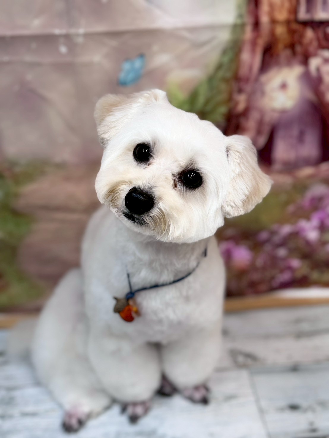 �I���[�W�� �挎�̂��q�l