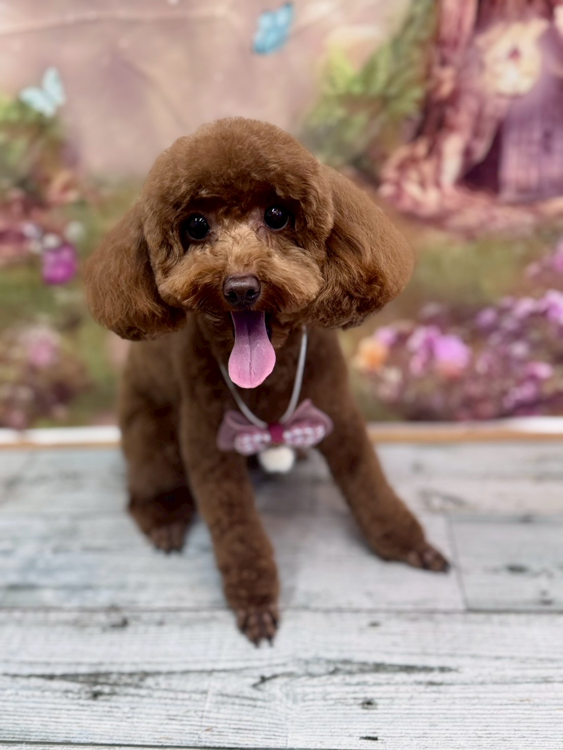 �I���[�W�� �挎�̂��q�l