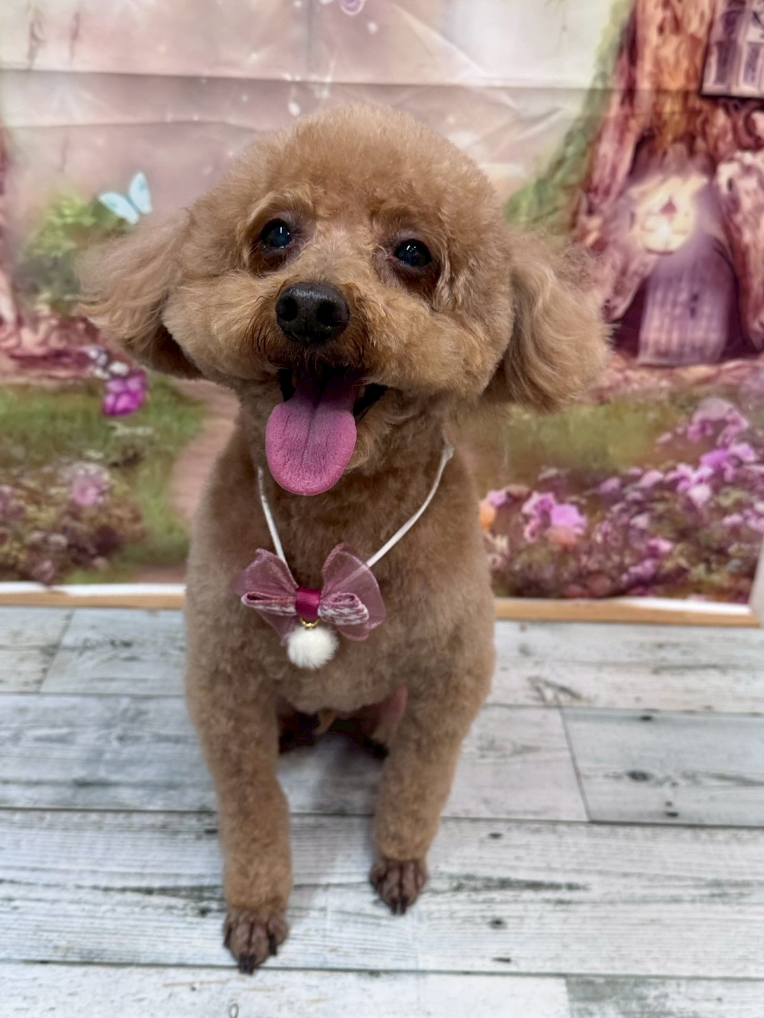 �I���[�W�� �挎�̂��q�l