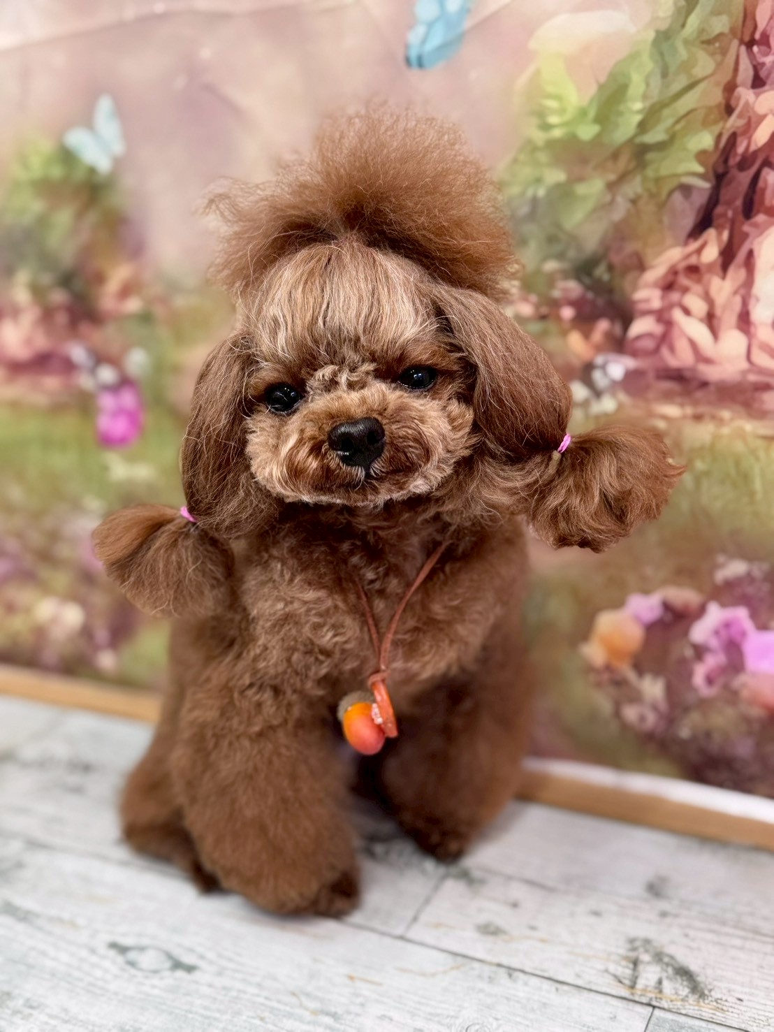 �I���[�W�� �挎�̂��q�l