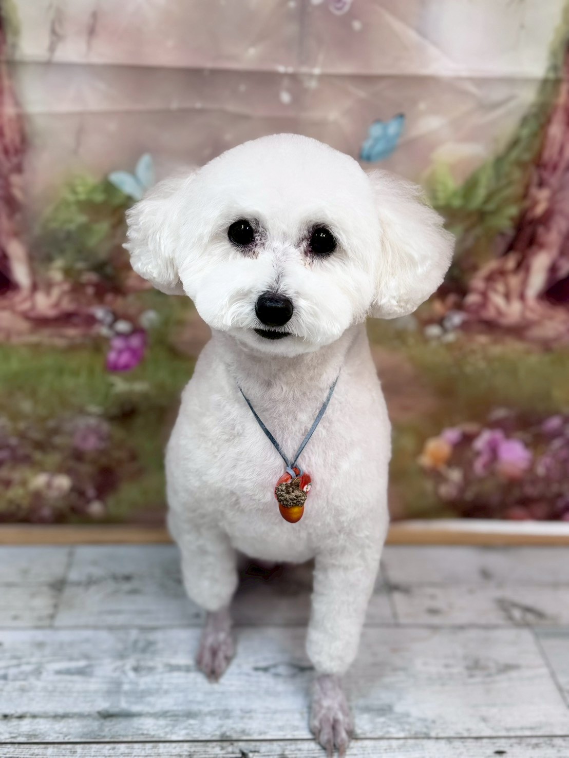 �I���[�W�� �挎�̂��q�l