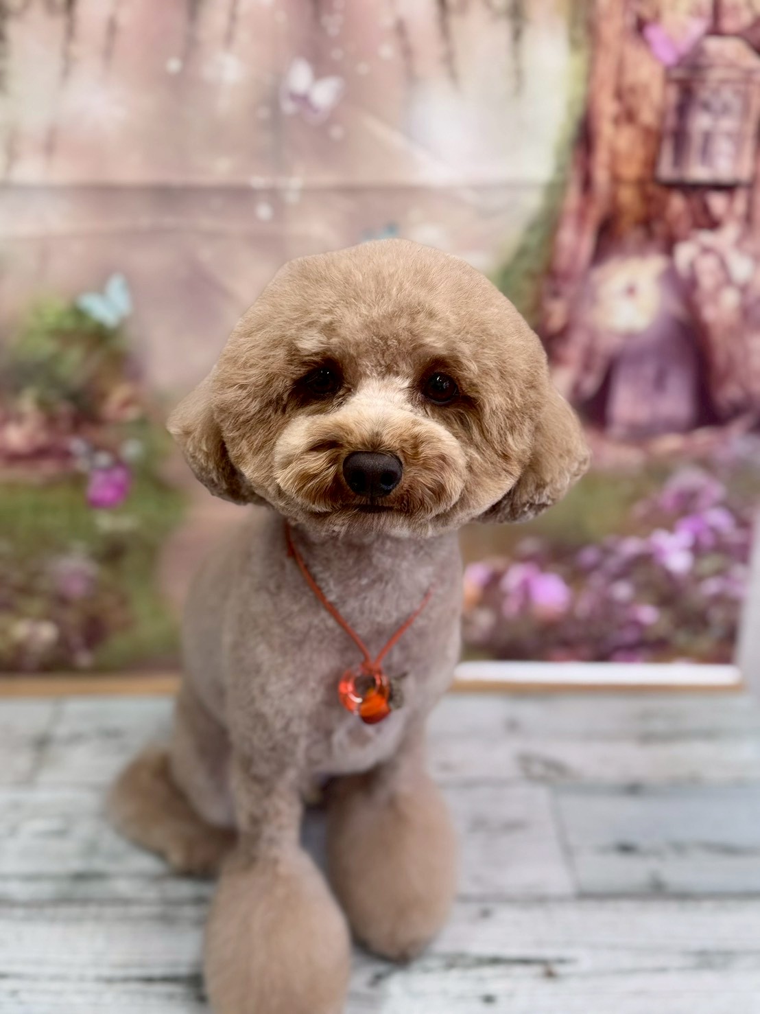 �I���[�W�� �挎�̂��q�l