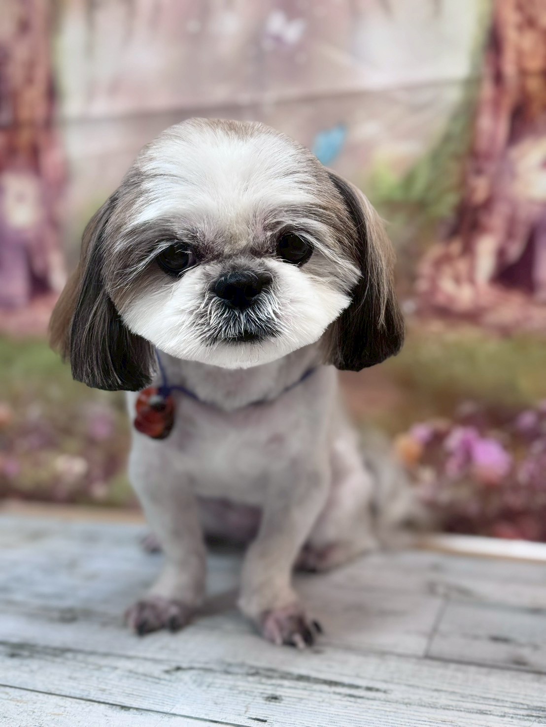 �I���[�W�� �挎�̂��q�l