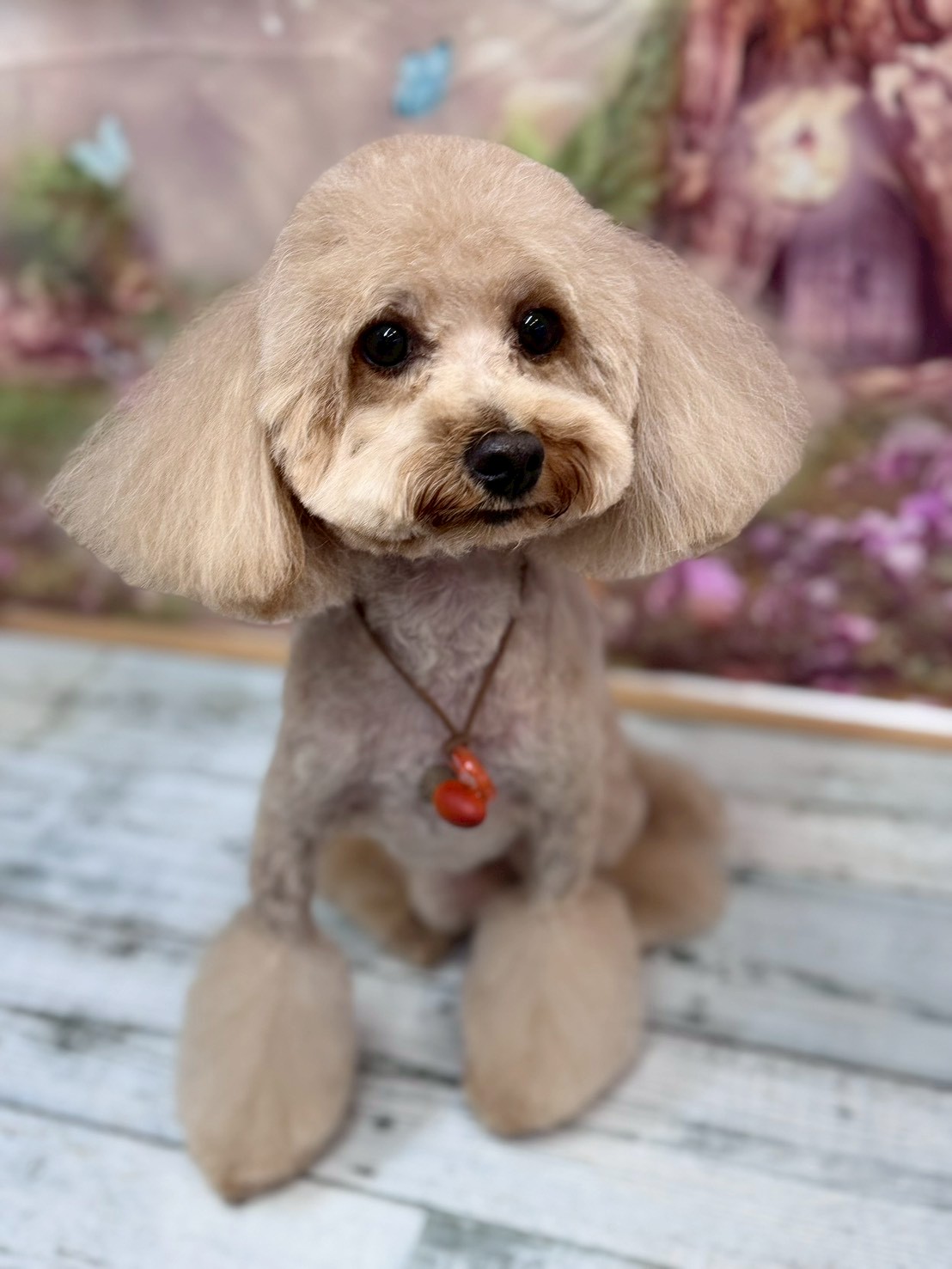 �I���[�W�� �挎�̂��q�l