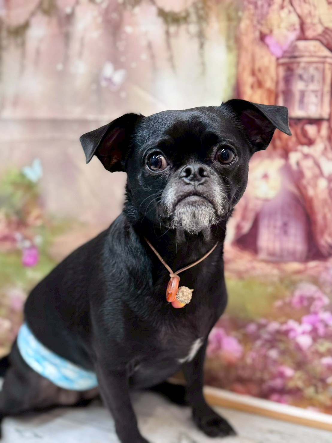 �I���[�W�� �挎�̂��q�l