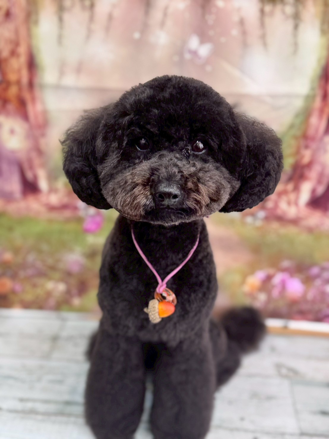 �I���[�W�� �挎�̂��q�l