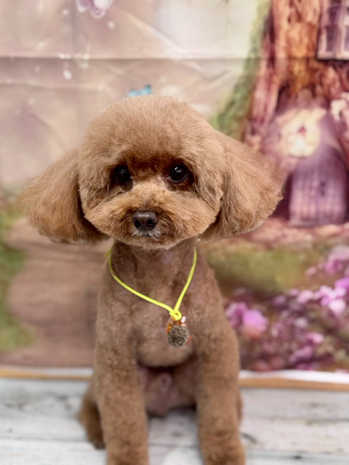 �I���[�W�� �挎�̂��q�l