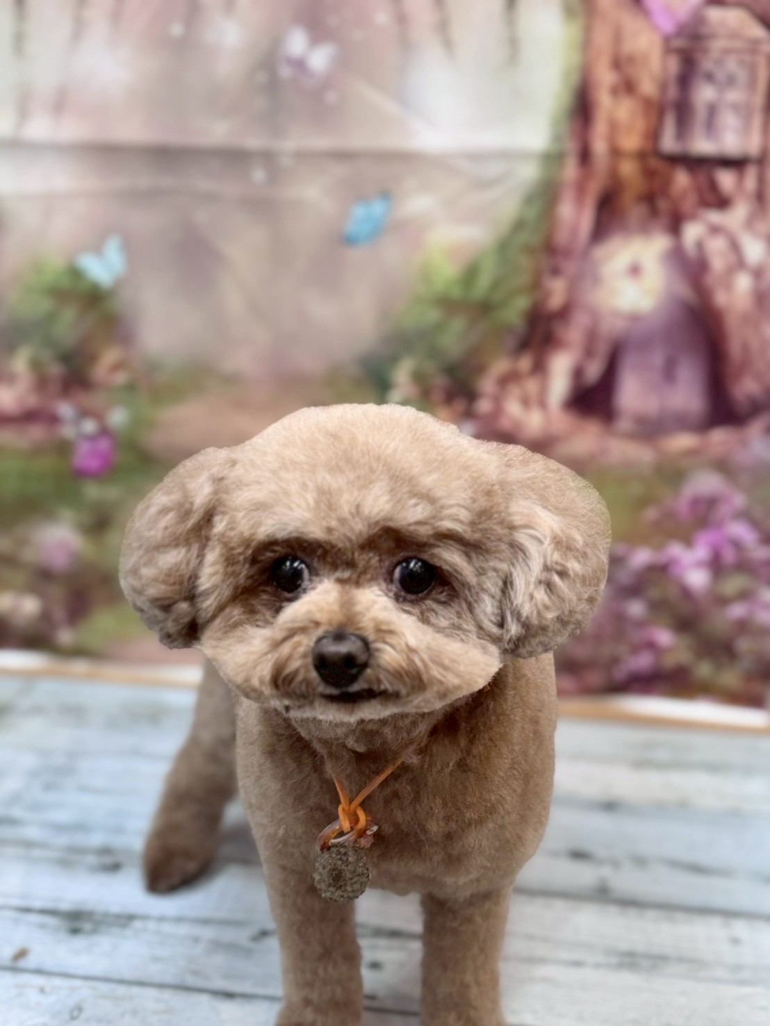 �I���[�W�� �挎�̂��q�l