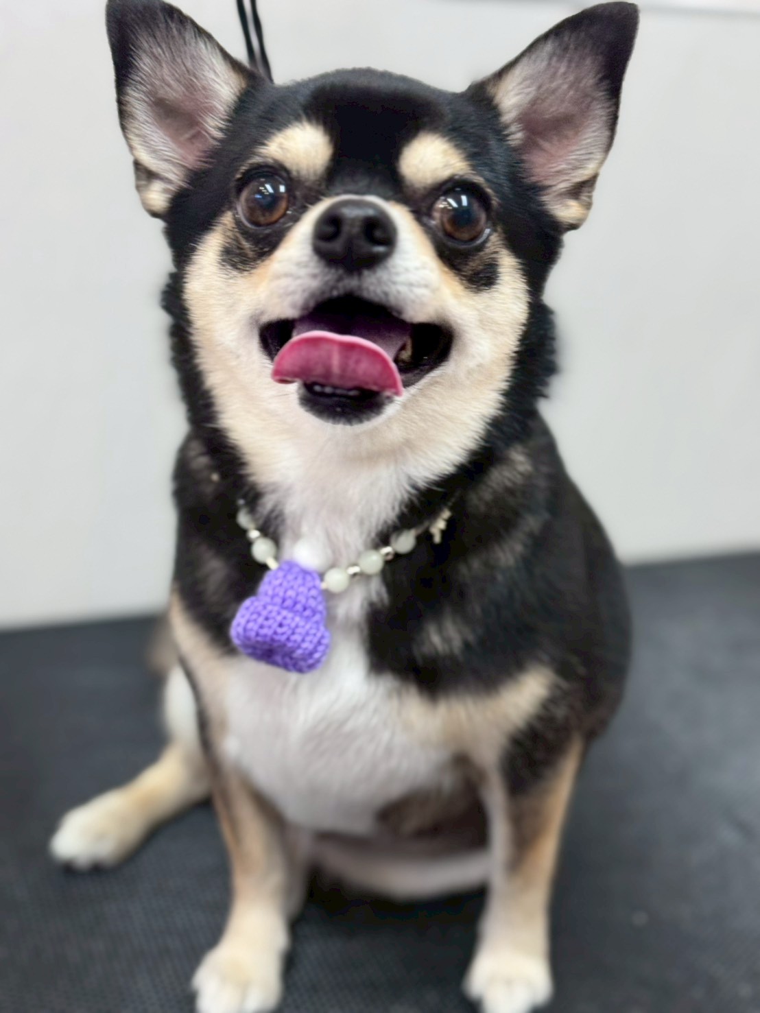 �I���[�W�� �挎�̂��q�l