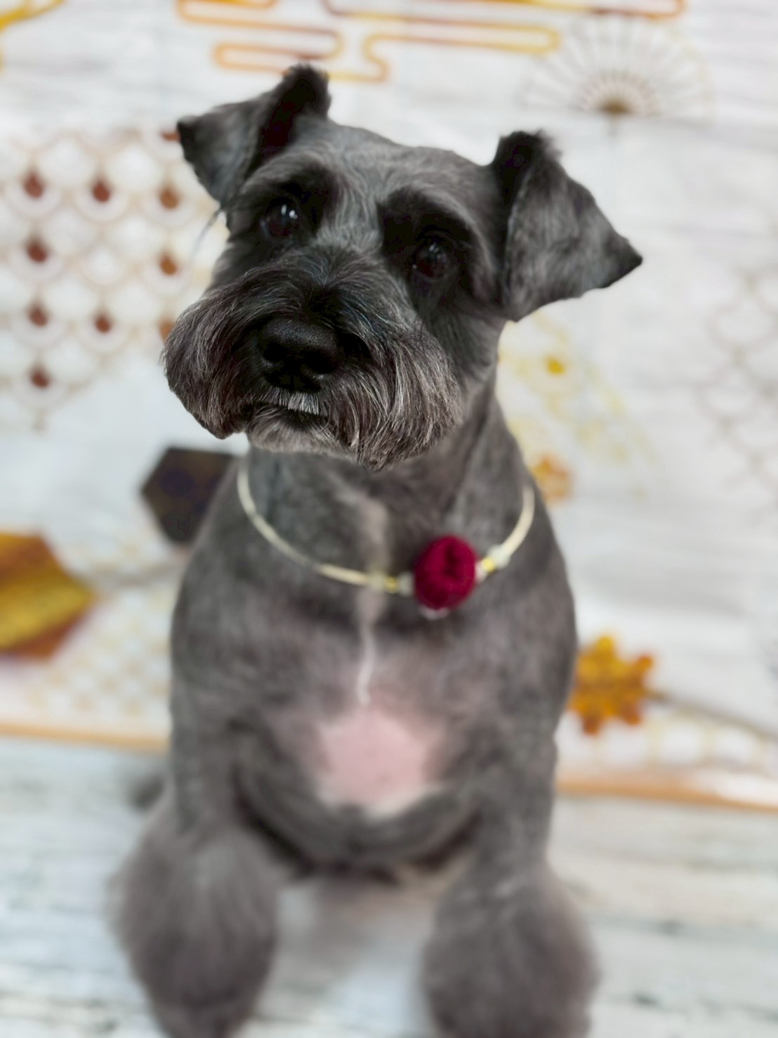 �I���[�W�� �挎�̂��q�l