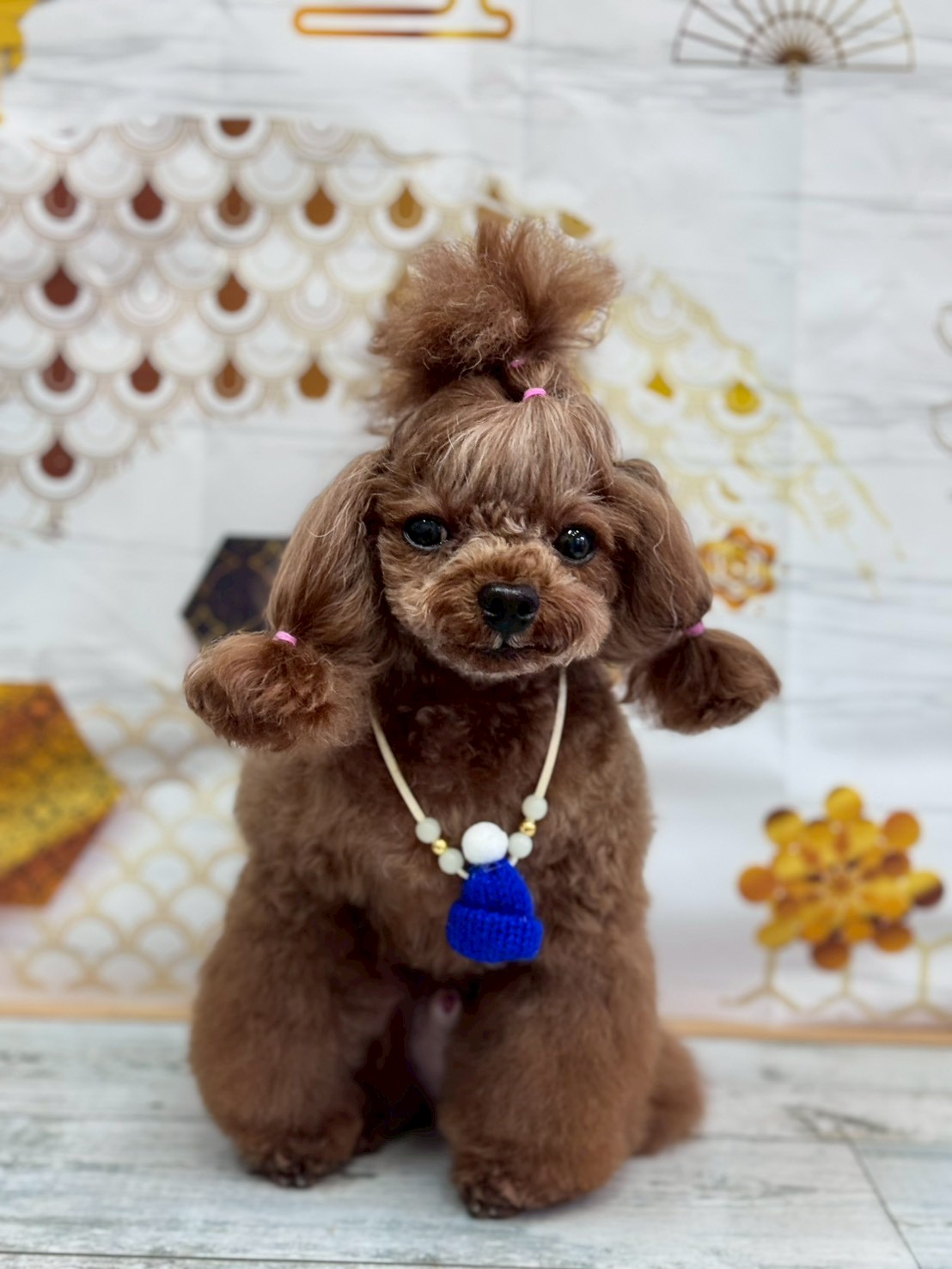 �I���[�W�� �挎�̂��q�l