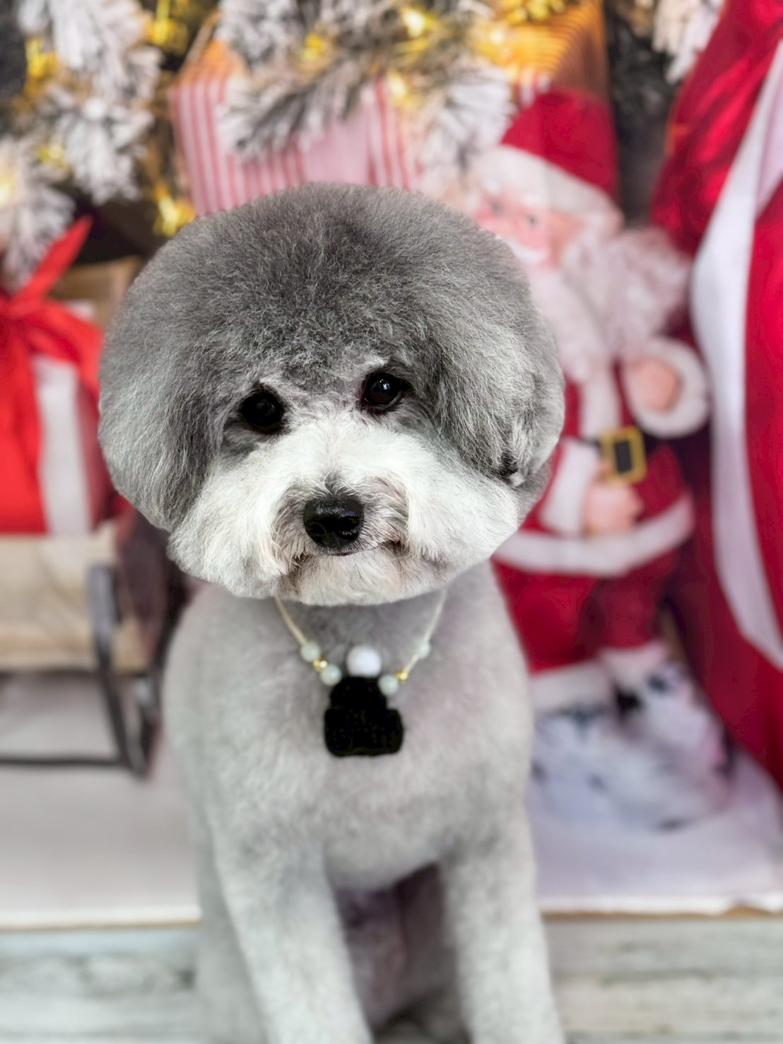 �I���[�W�� �挎�̂��q�l