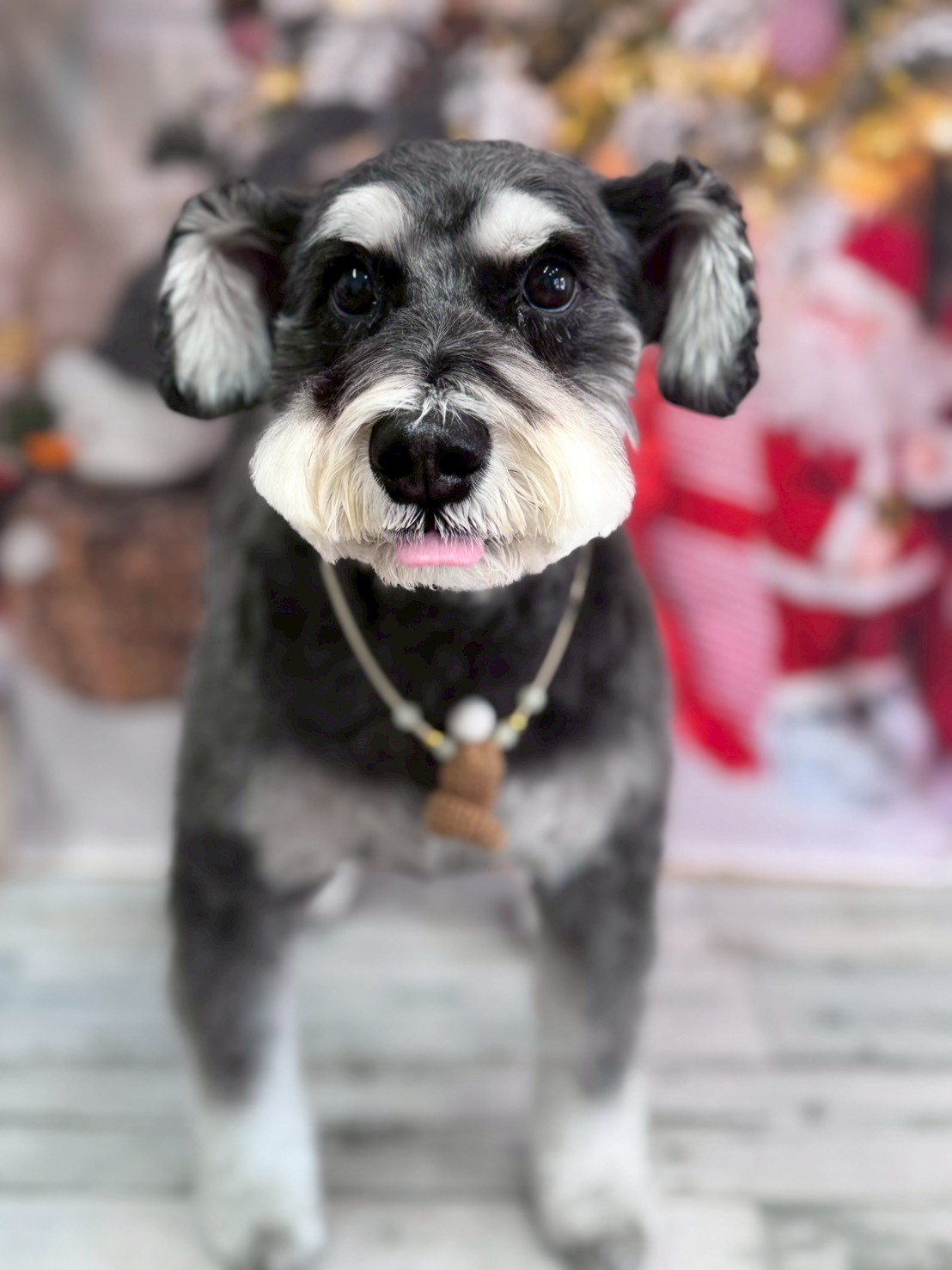 �I���[�W�� �挎�̂��q�l