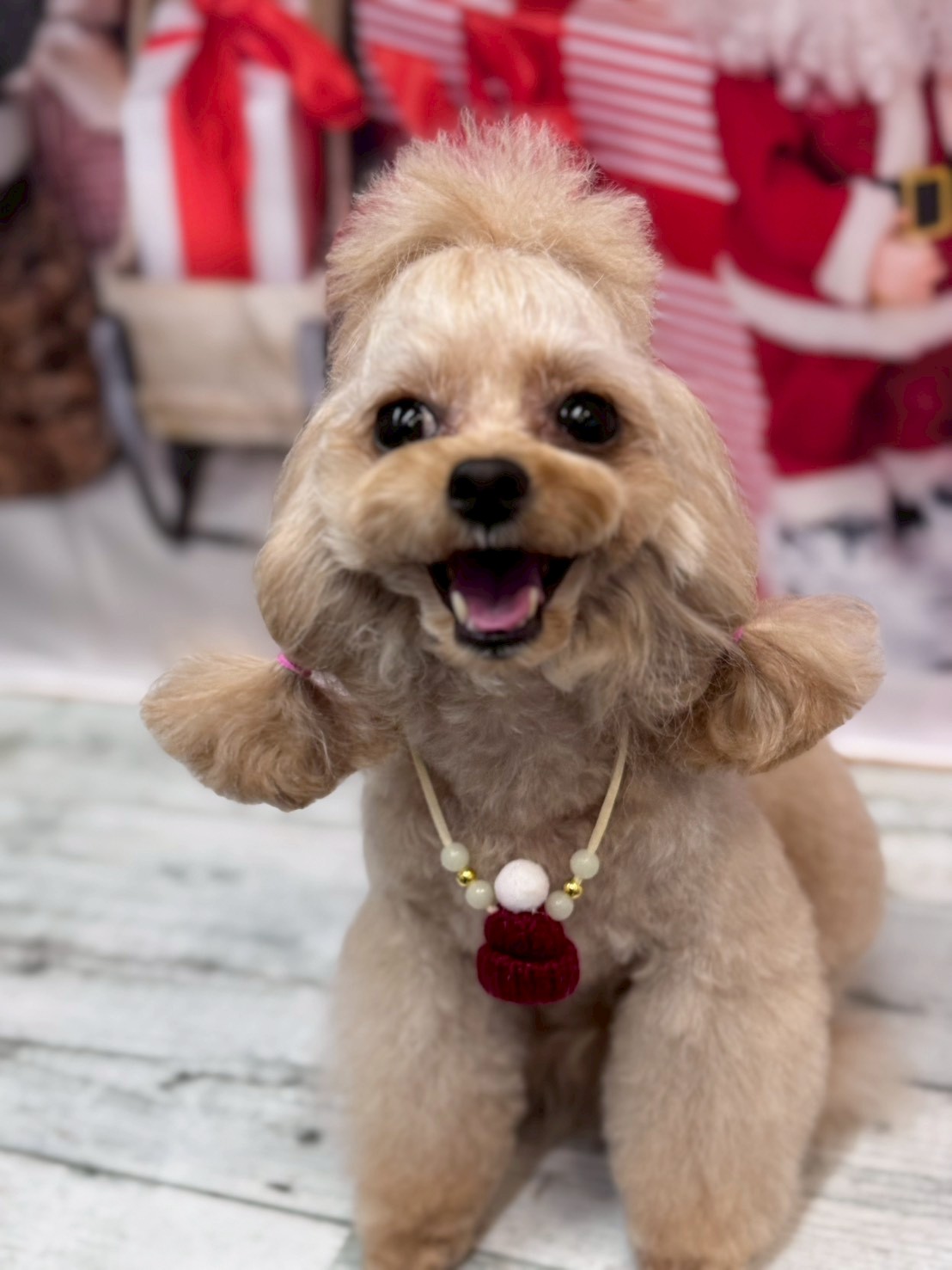 �I���[�W�� �挎�̂��q�l