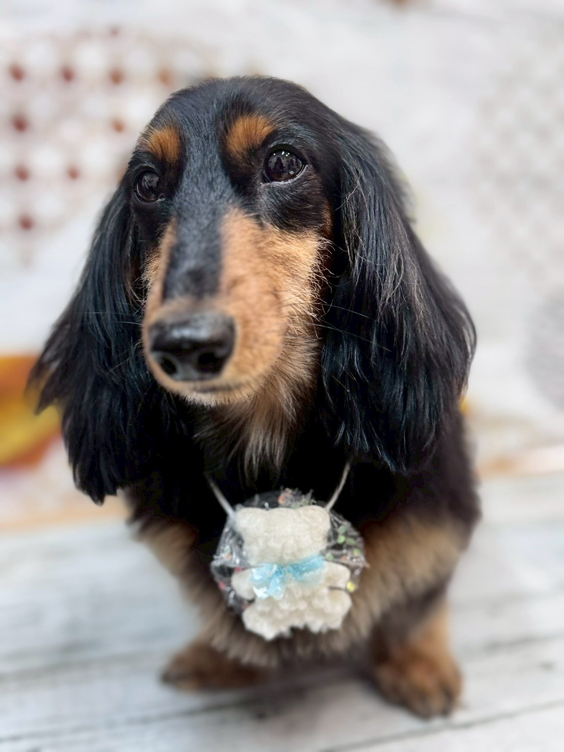 �I���[�W�� �挎�̂��q�l