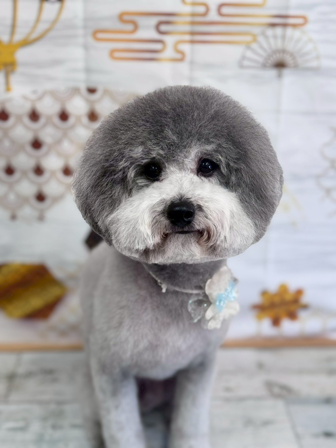 �I���[�W�� �挎�̂��q�l