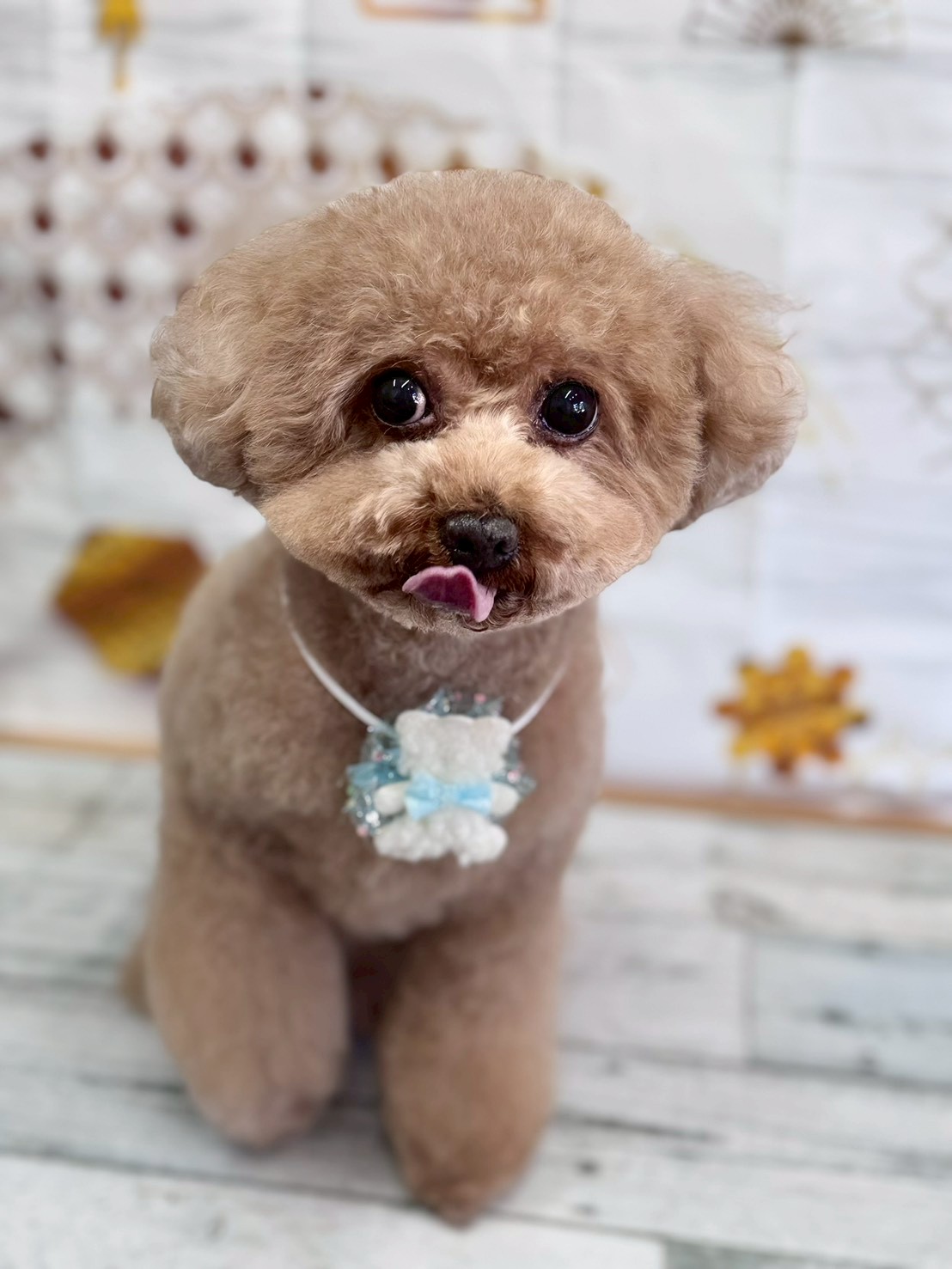 �I���[�W�� �挎�̂��q�l