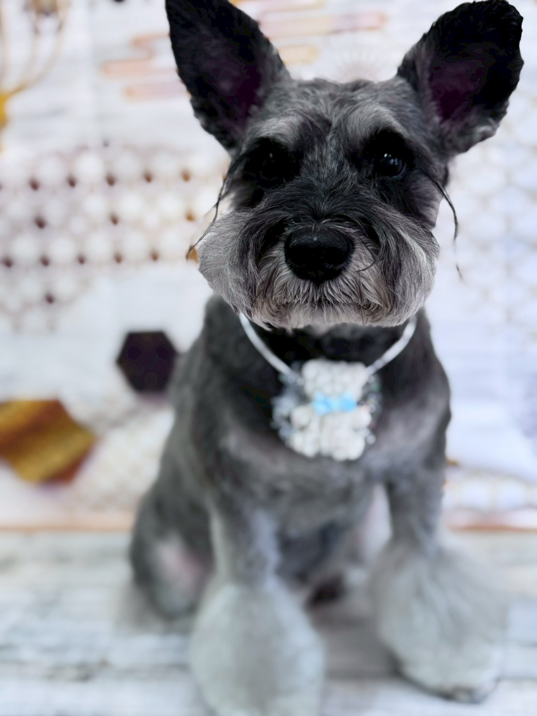 �I���[�W�� �挎�̂��q�l