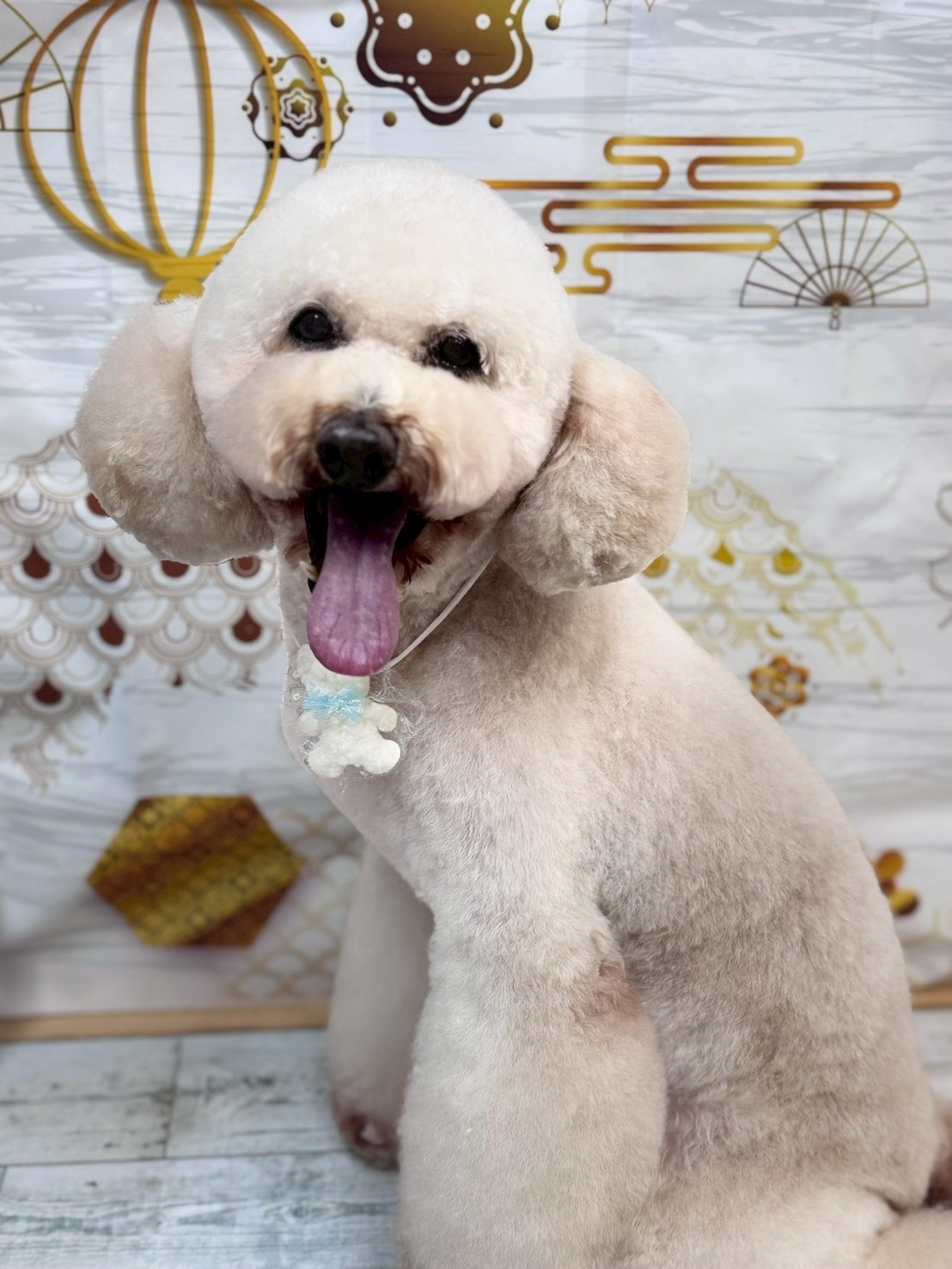 �I���[�W�� �挎�̂��q�l