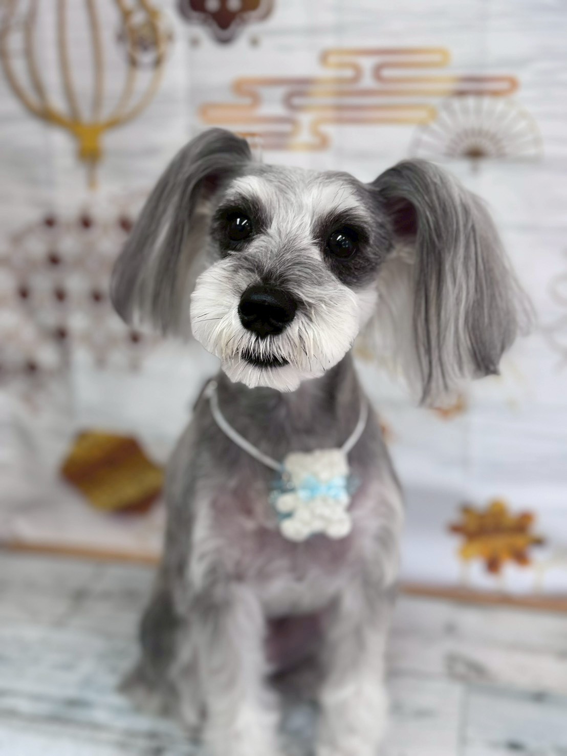 �I���[�W�� �挎�̂��q�l