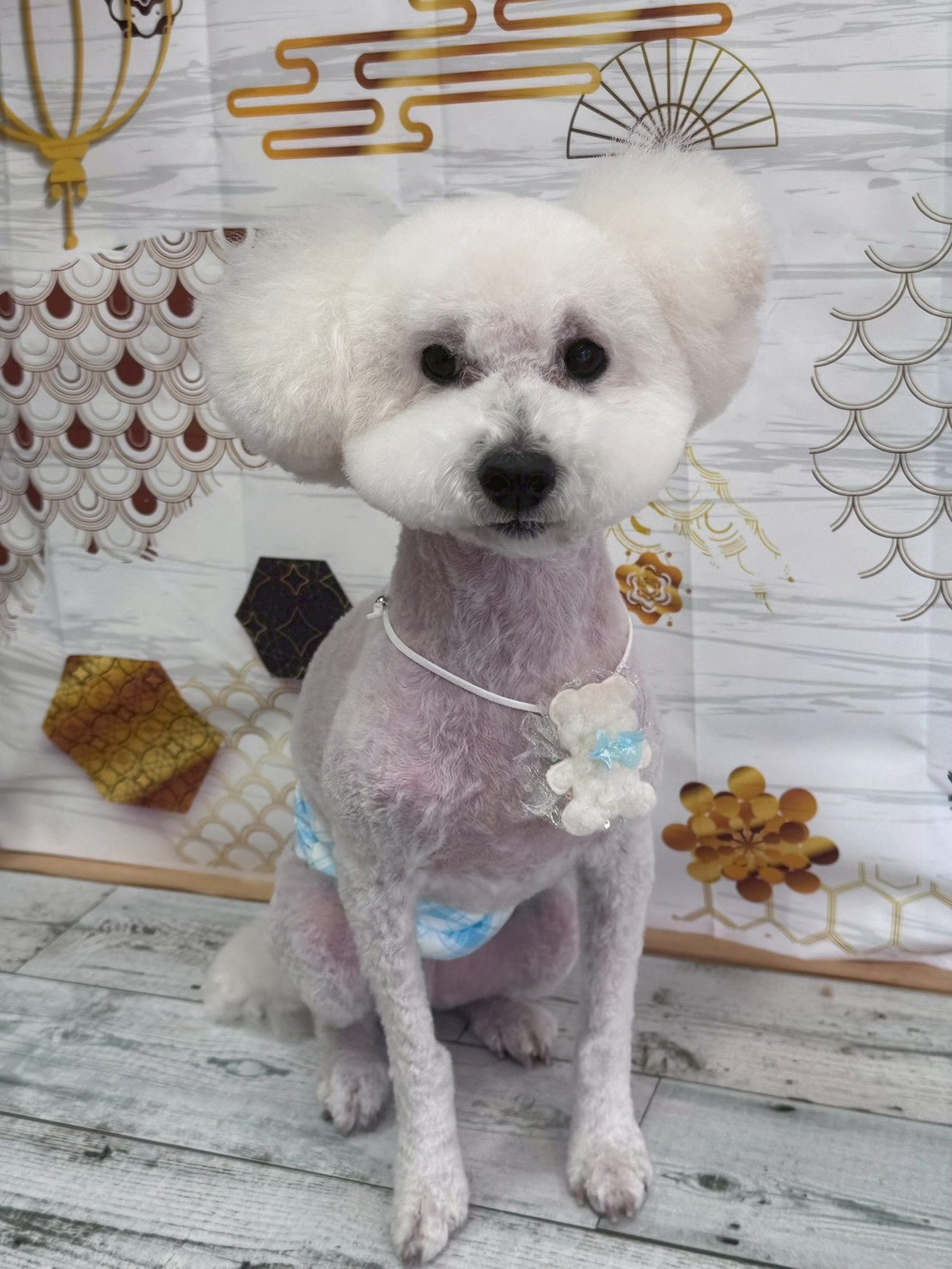 �I���[�W�� �挎�̂��q�l