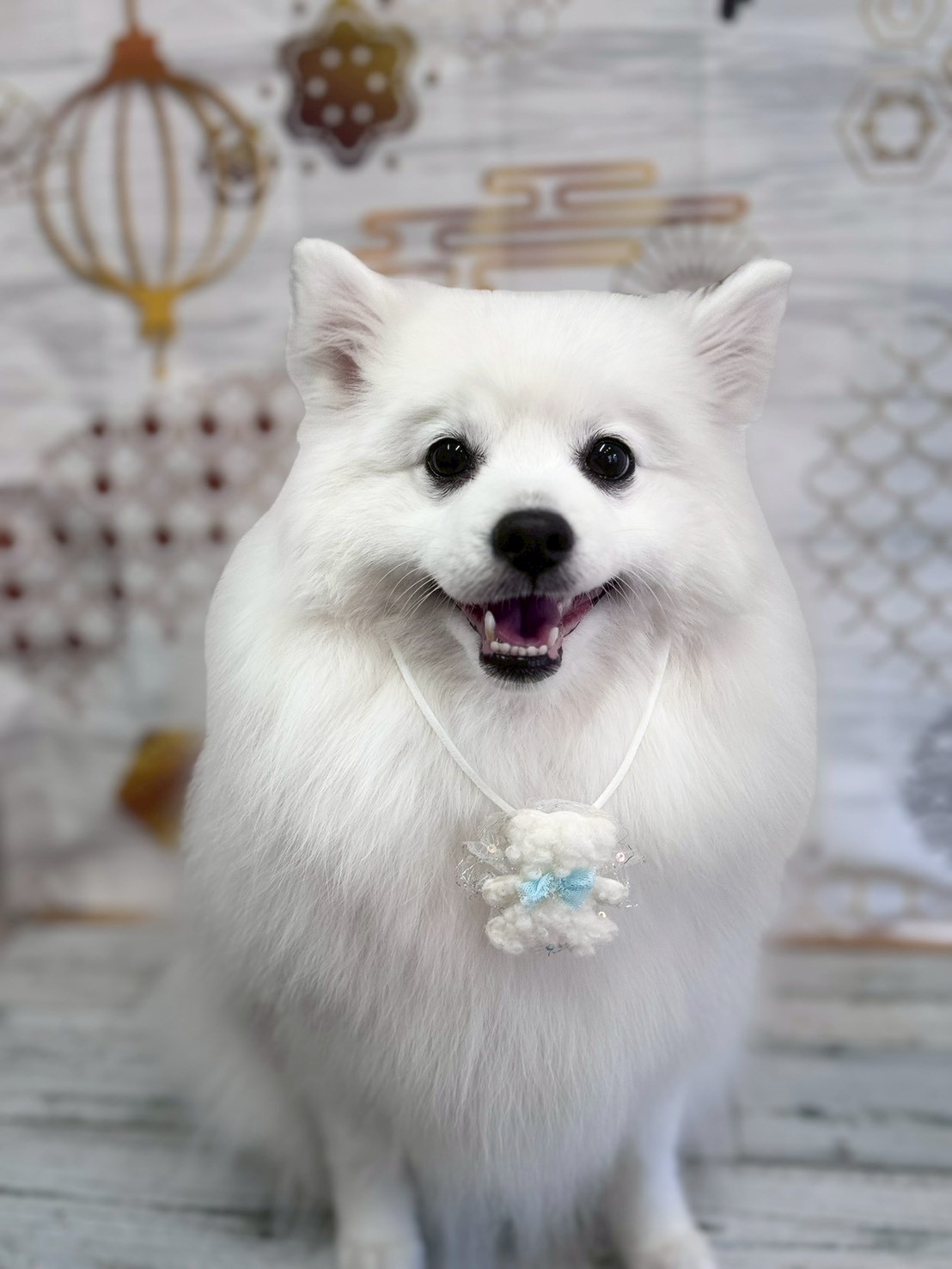 �I���[�W�� �挎�̂��q�l