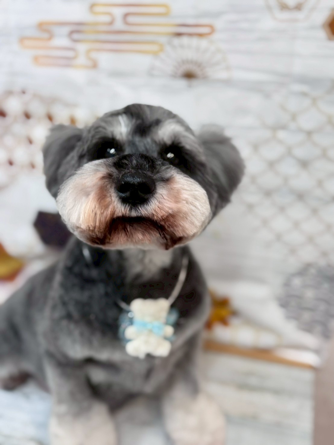 �I���[�W�� �挎�̂��q�l